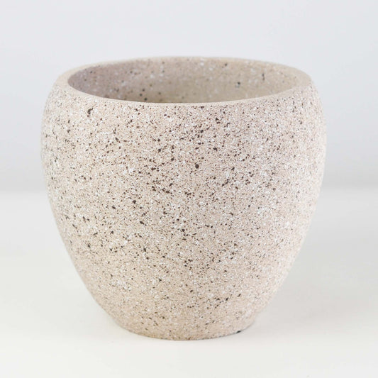  5号鉢(幅14～16cm)