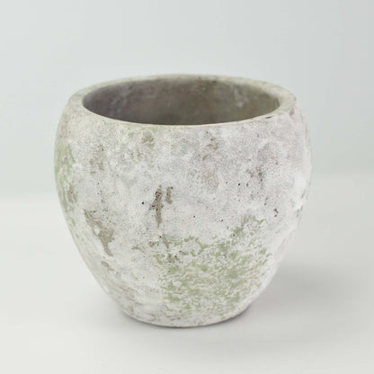 4号鉢(幅11～14cm)
