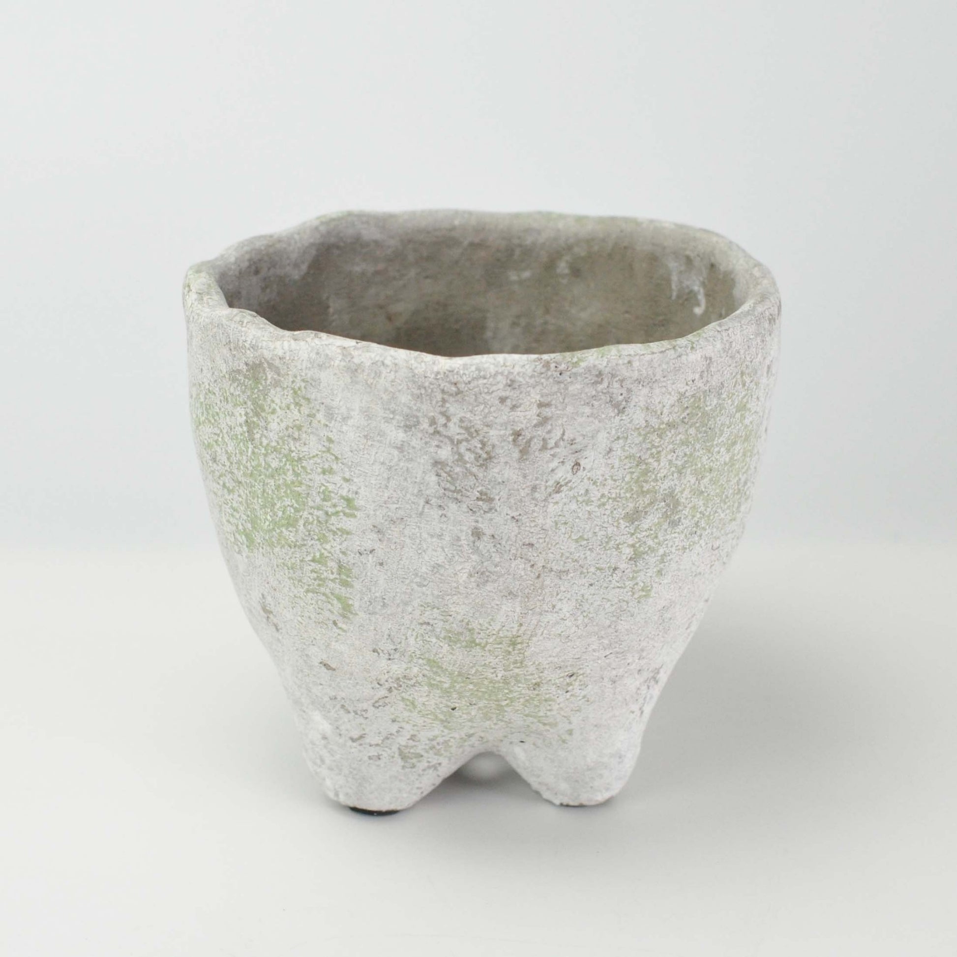 3号鉢(幅8～10cm)