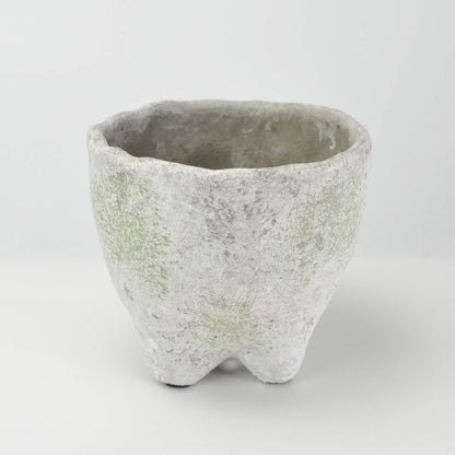 3号鉢(幅8～10cm)