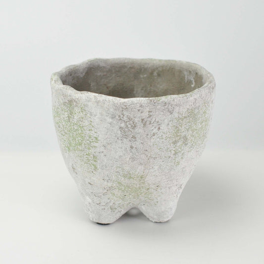 3号鉢(幅8～10cm)