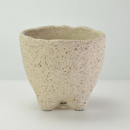  5号鉢(幅14～16cm)