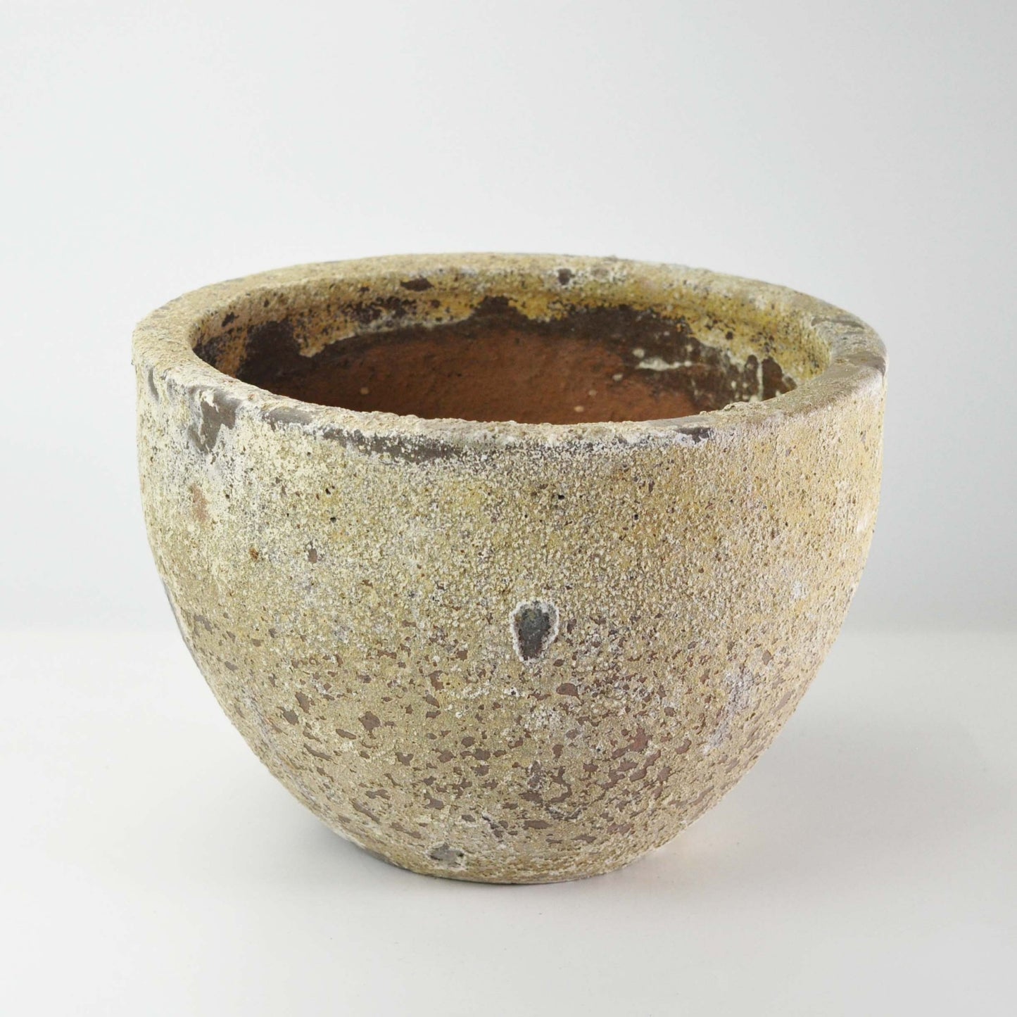 10号鉢(幅30～32cm)