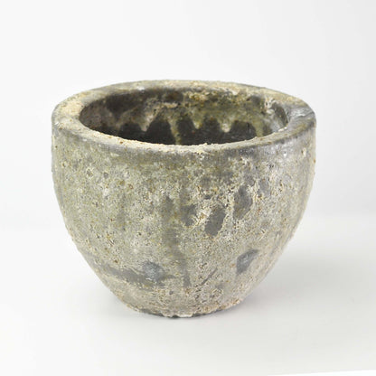 7号鉢(幅21～23cm)