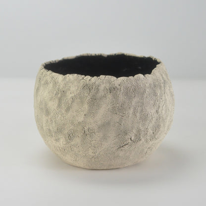 5号鉢(幅14～16cm)
