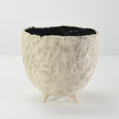 5号鉢(幅14～16cm)