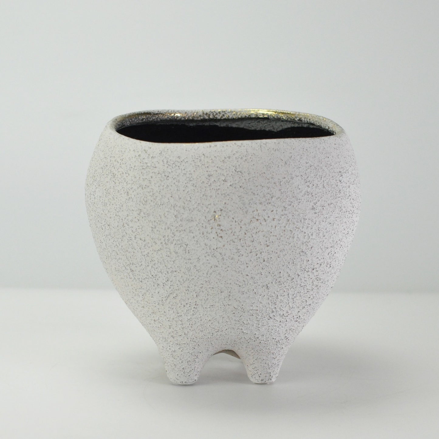 6号鉢(幅18～20cm)