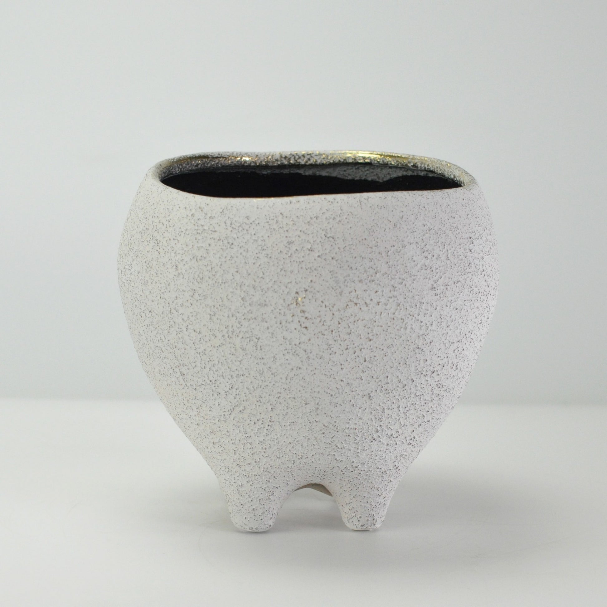 6号鉢(幅18～20cm)