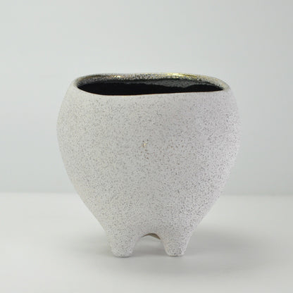 6号鉢(幅18～20cm)