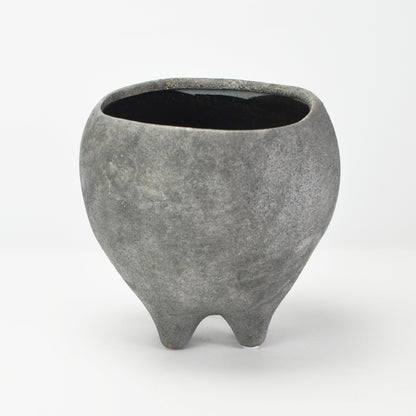 6号鉢(幅18～20cm)