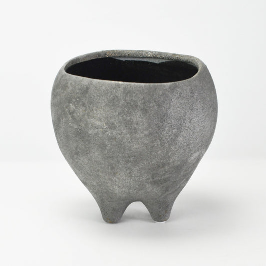 6号鉢(幅18～20cm)