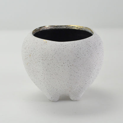 3号鉢(幅8～10cm)