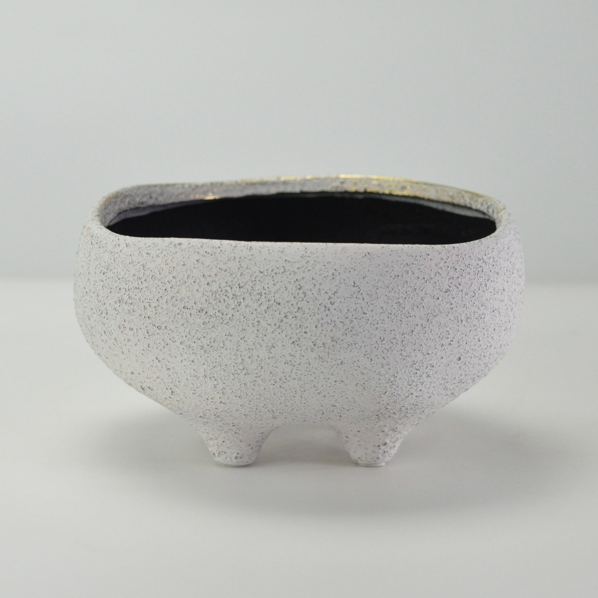 6号鉢(幅18～20cm)