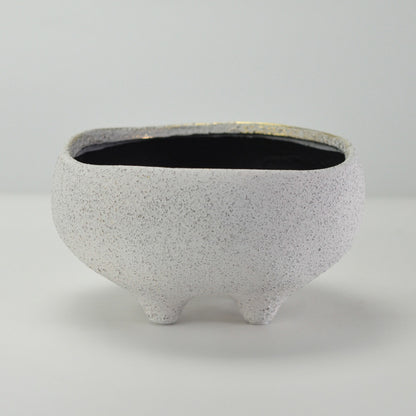 6号鉢(幅18～20cm)