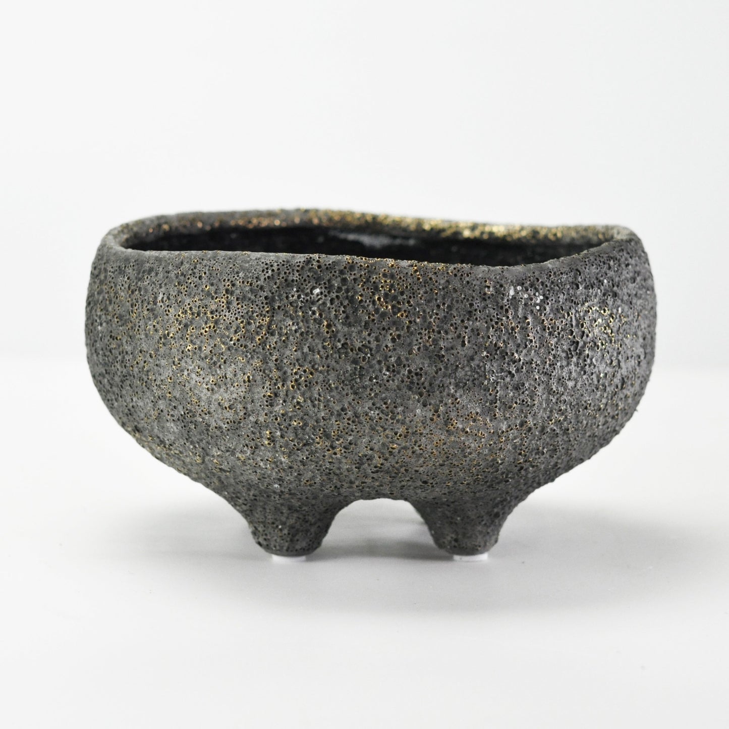 6号鉢(幅18～20cm)