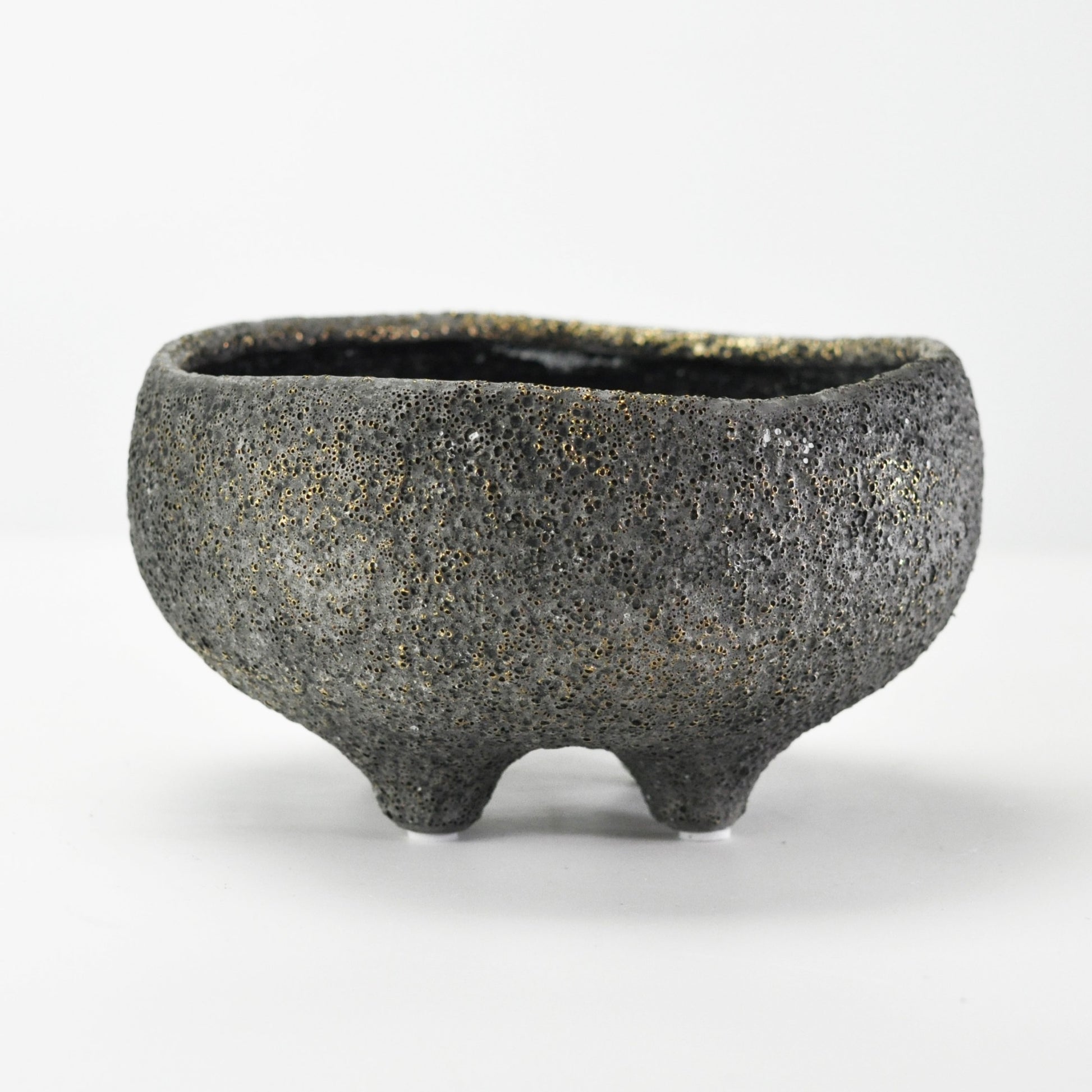 6号鉢(幅18～20cm)