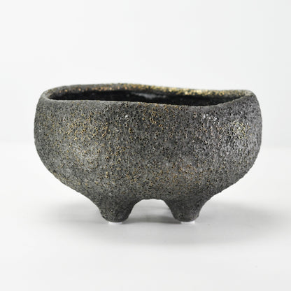 6号鉢(幅18～20cm)