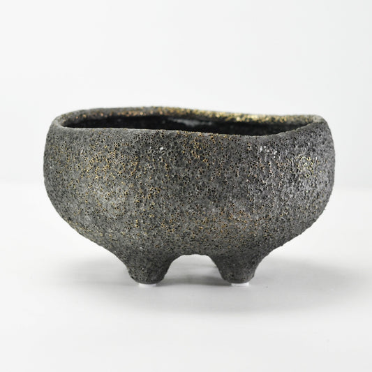 6号鉢(幅18～20cm)
