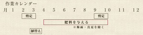 年間作業