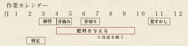 年間作業