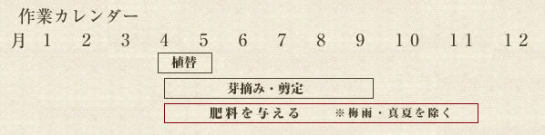 年間作業