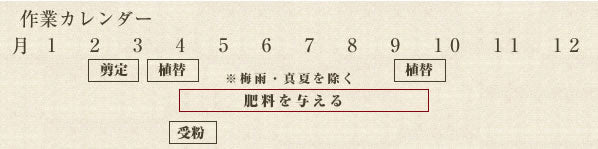 年間作業