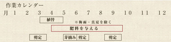 年間作業