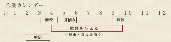 年間作業