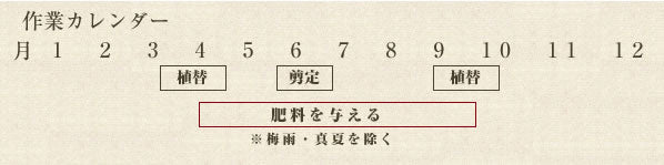 年間作業