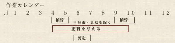 年間作業