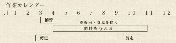 年間作業