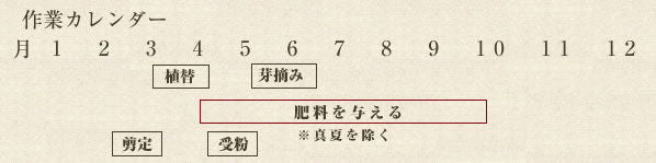 年間作業