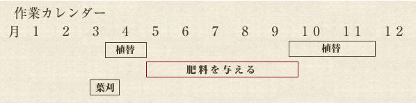 年間作業