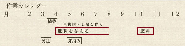 年間作業