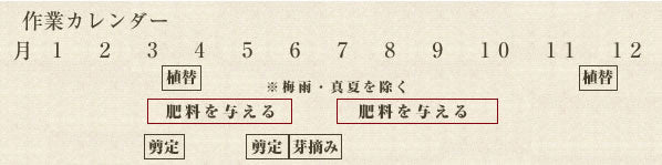 年間作業