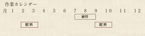 年間作業