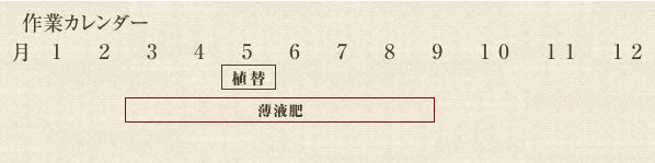 年間作業