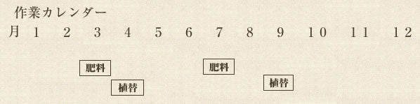 年間作業