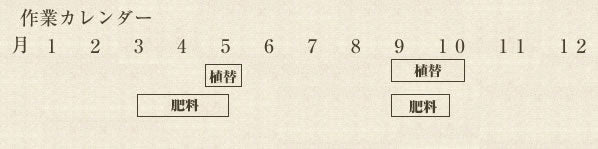 年間作業