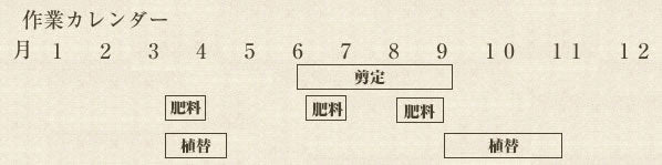年間作業