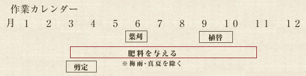 年間作業