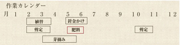 年間作業