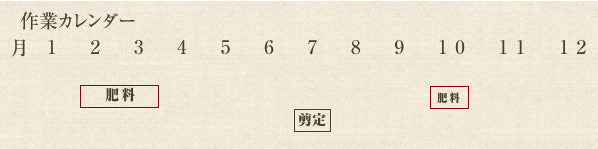 年間作業