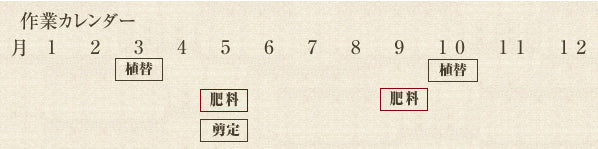 年間作業