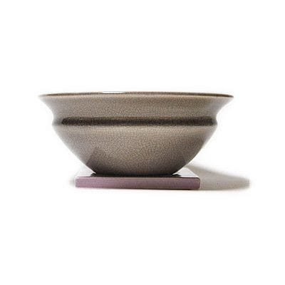 あまかけ紫S 7号 鉢幅21cm×高さ8cm