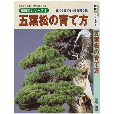 【書籍】盆栽 五葉松の育て方 本 ブック　近代出版