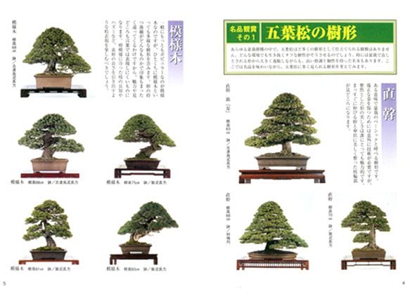 書籍】盆栽 五葉松の育て方 本 ブック 近代出版を販売｜入門は盆栽妙