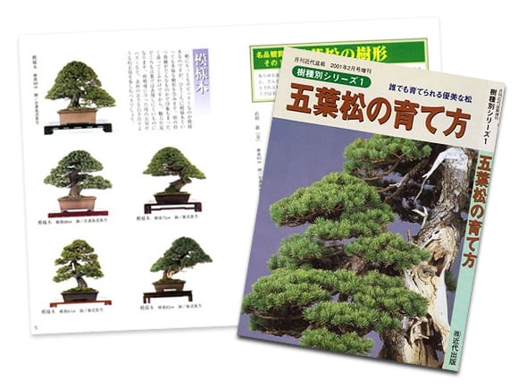 書籍】盆栽 五葉松の育て方 本 ブック 近代出版を販売｜入門は