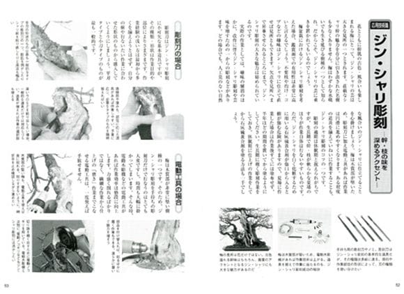 2012年5月号　近代盆栽 ｜長寿梅の魅力特集｜病害虫対策｜東海雅展＆草樹展 2012年5月号 近代盆栽 ｜長寿梅の魅力特集｜病害虫対策