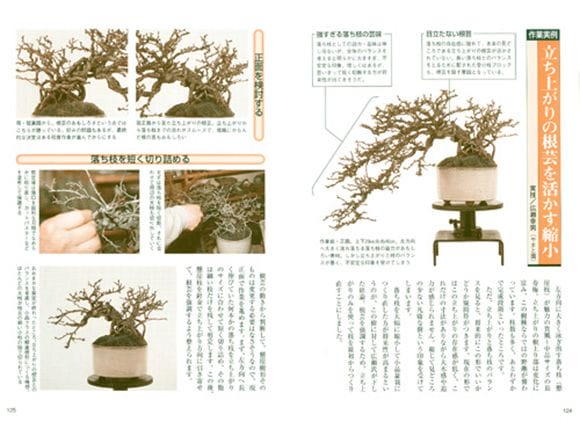 書籍】盆栽 梅・長寿梅の育て方 本 ブック 近代出版を販売｜入門